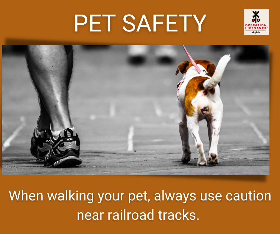 When walking your pet, always use caution near railroad tracks.